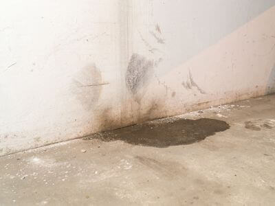 Professional water damage restoration services in Parma - Clean Team Restoration
